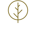 Branch Excavation services Chattanooga TN