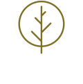 Branch Excavation services Chattanooga TN